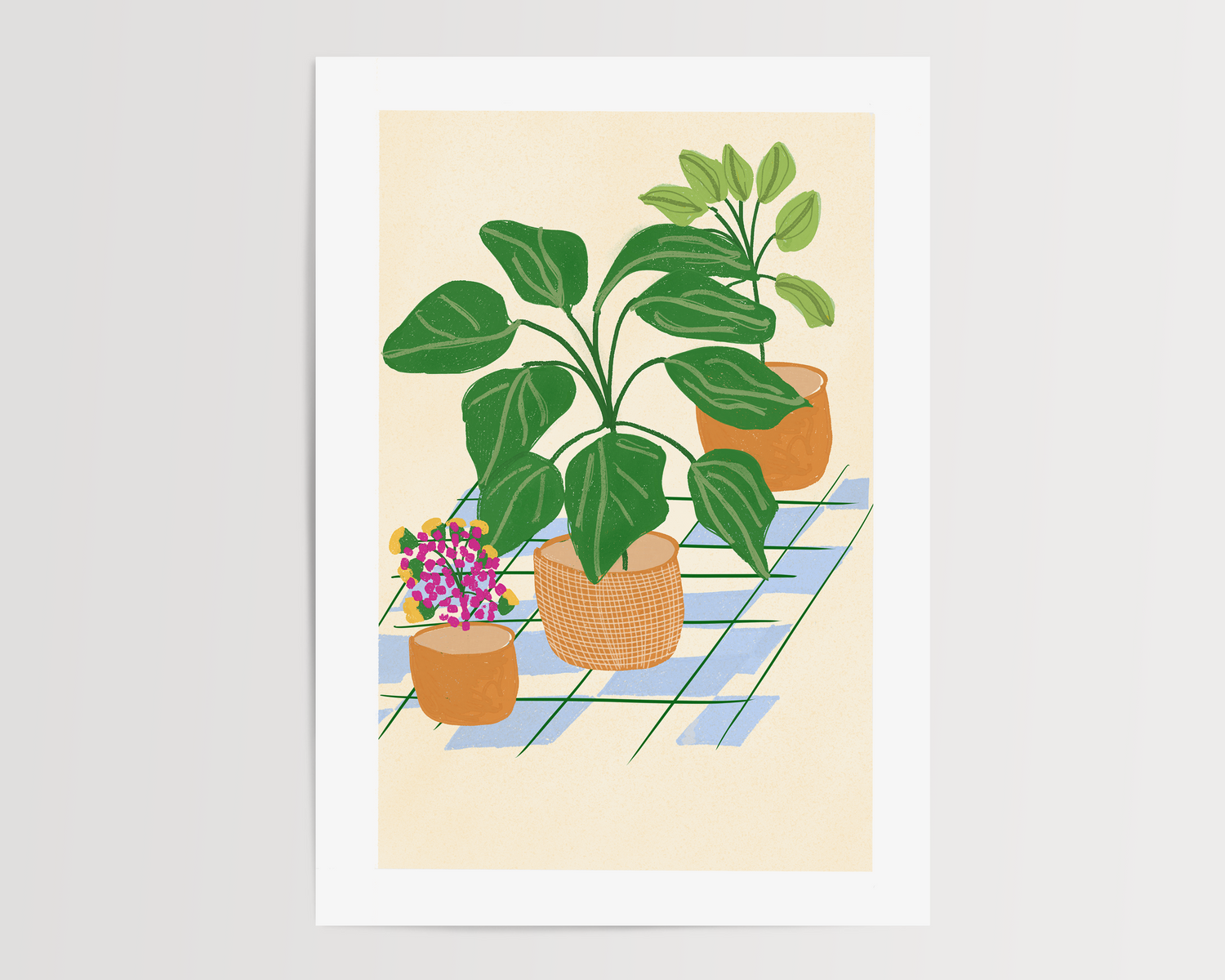 The House of Plants
